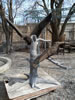 IMG 20120306 115711